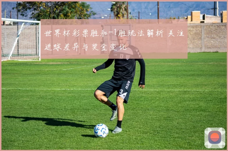 世界杯彩票胜和-1胜玩法解析 关注进球差异与奖金变化
