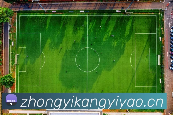 App Interface Preview